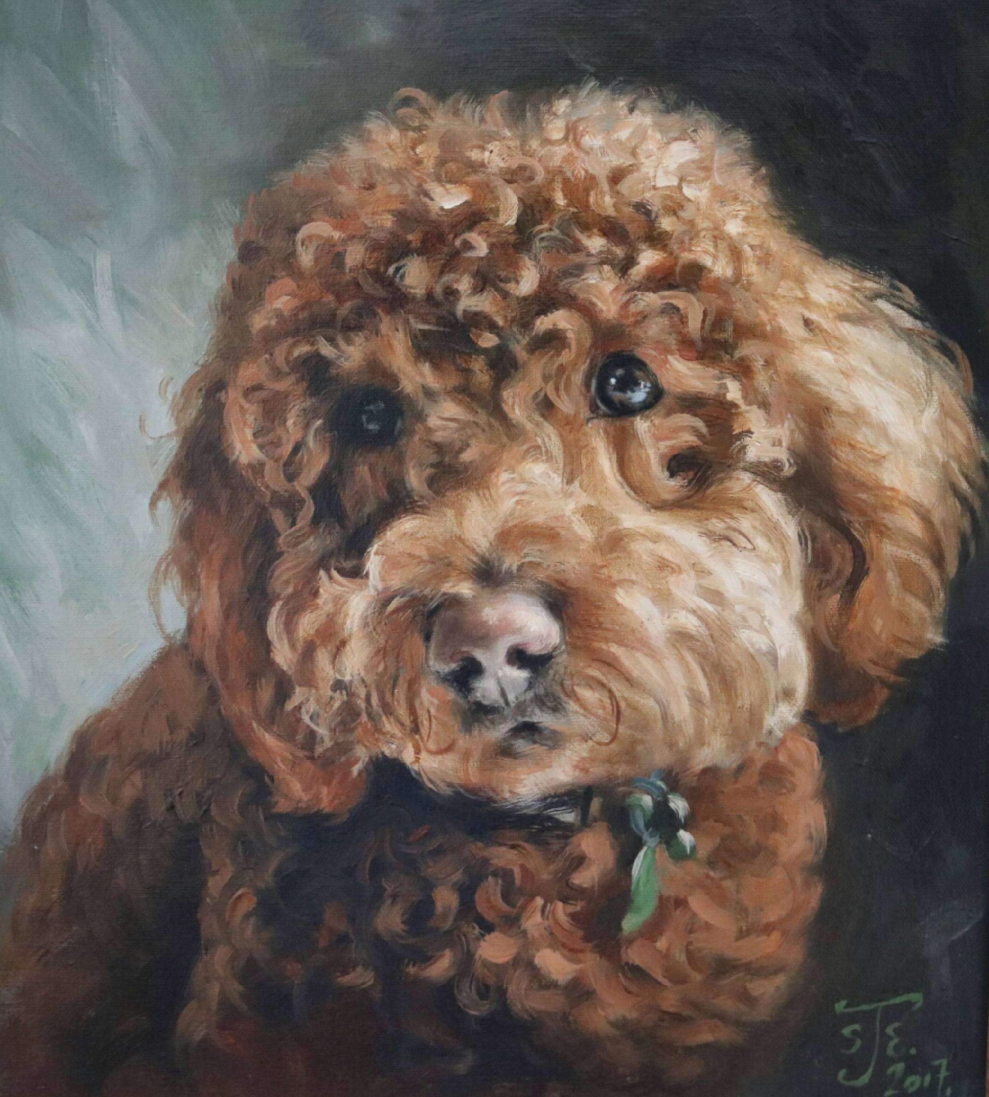 labradoodle portrait by Stephen Edwards