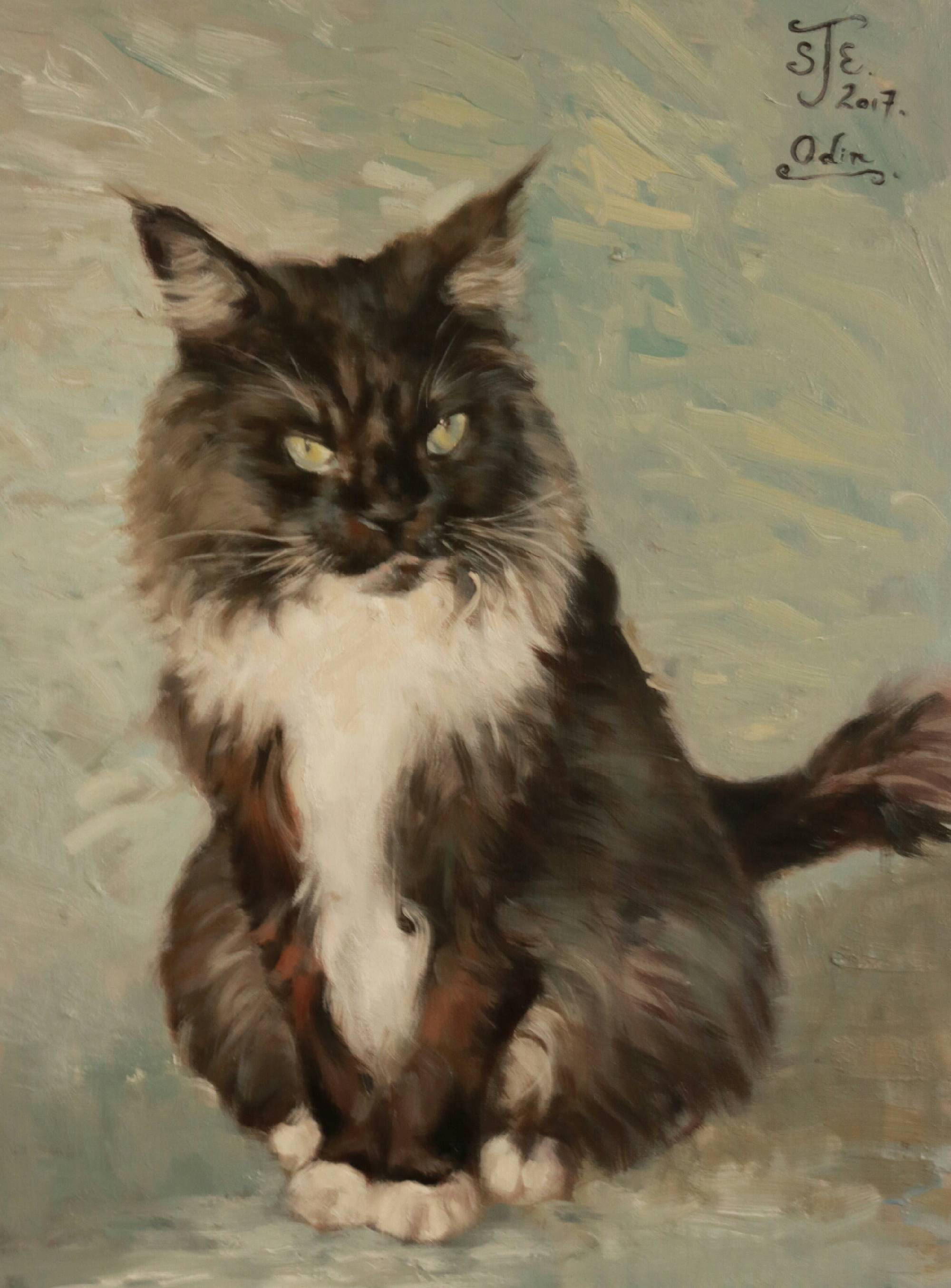 Odin the cat, pet portrait by Stephen Edwards