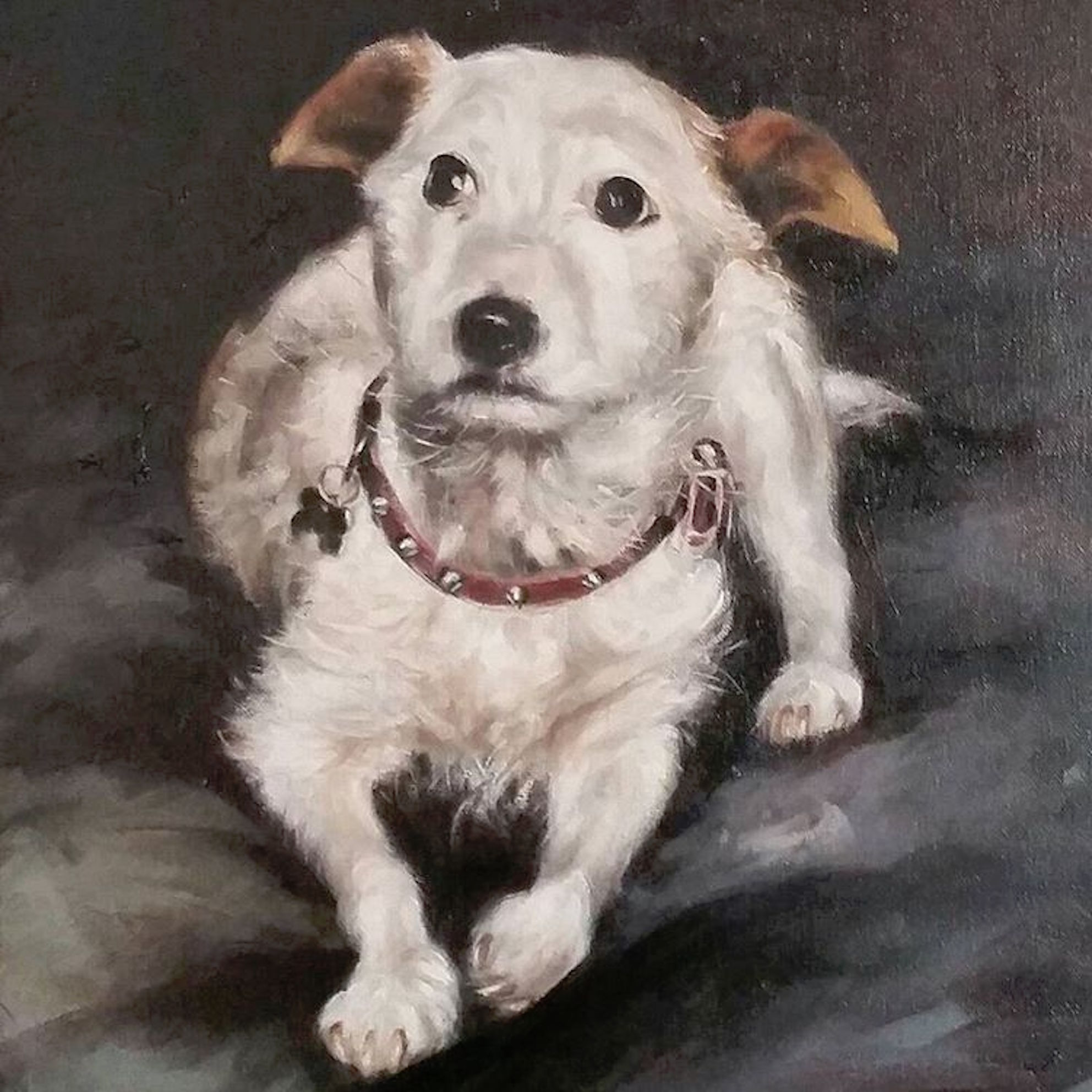 Jack Russel portrait by Stephen Edwards