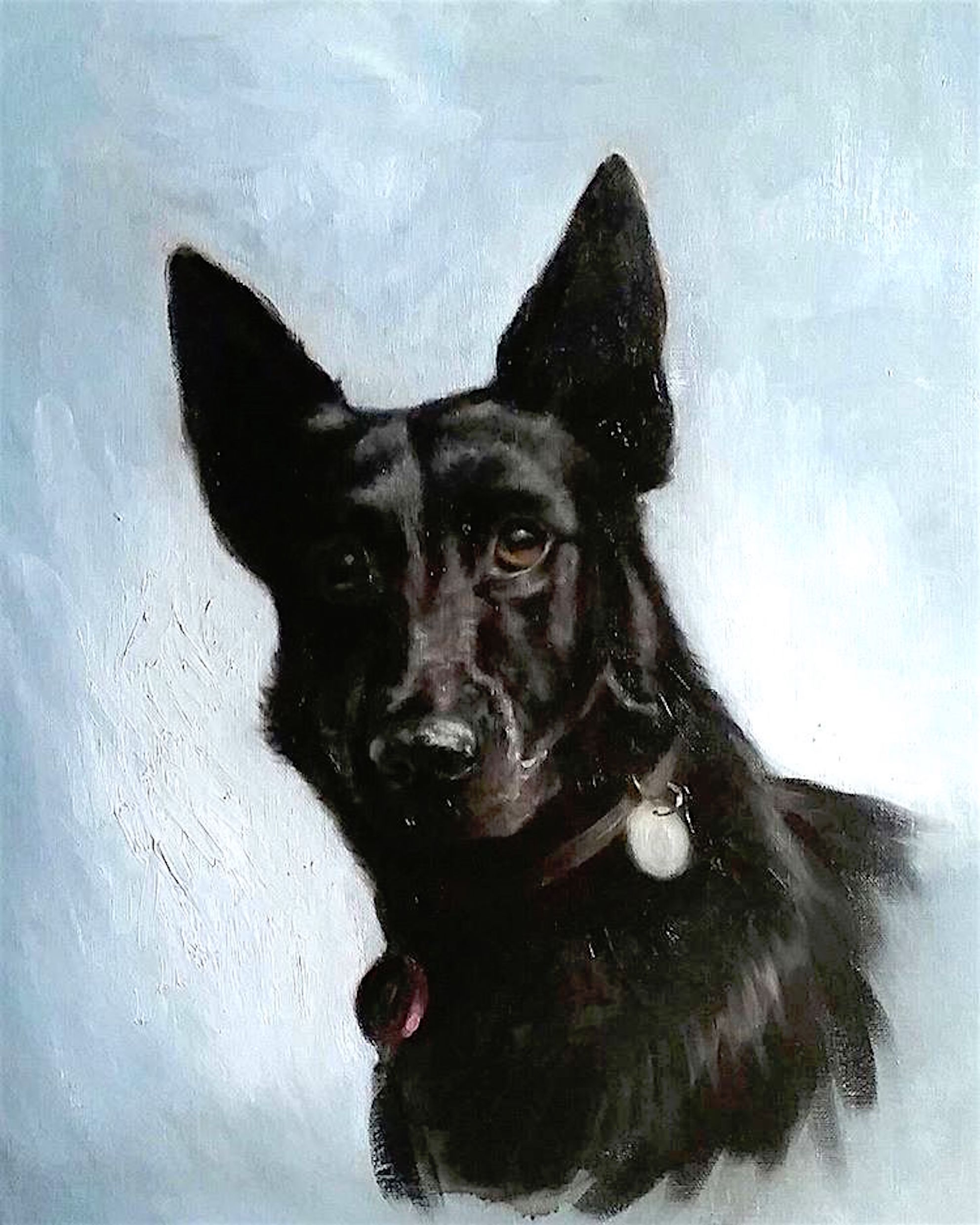 alsatian portrait by Stephen Edwards