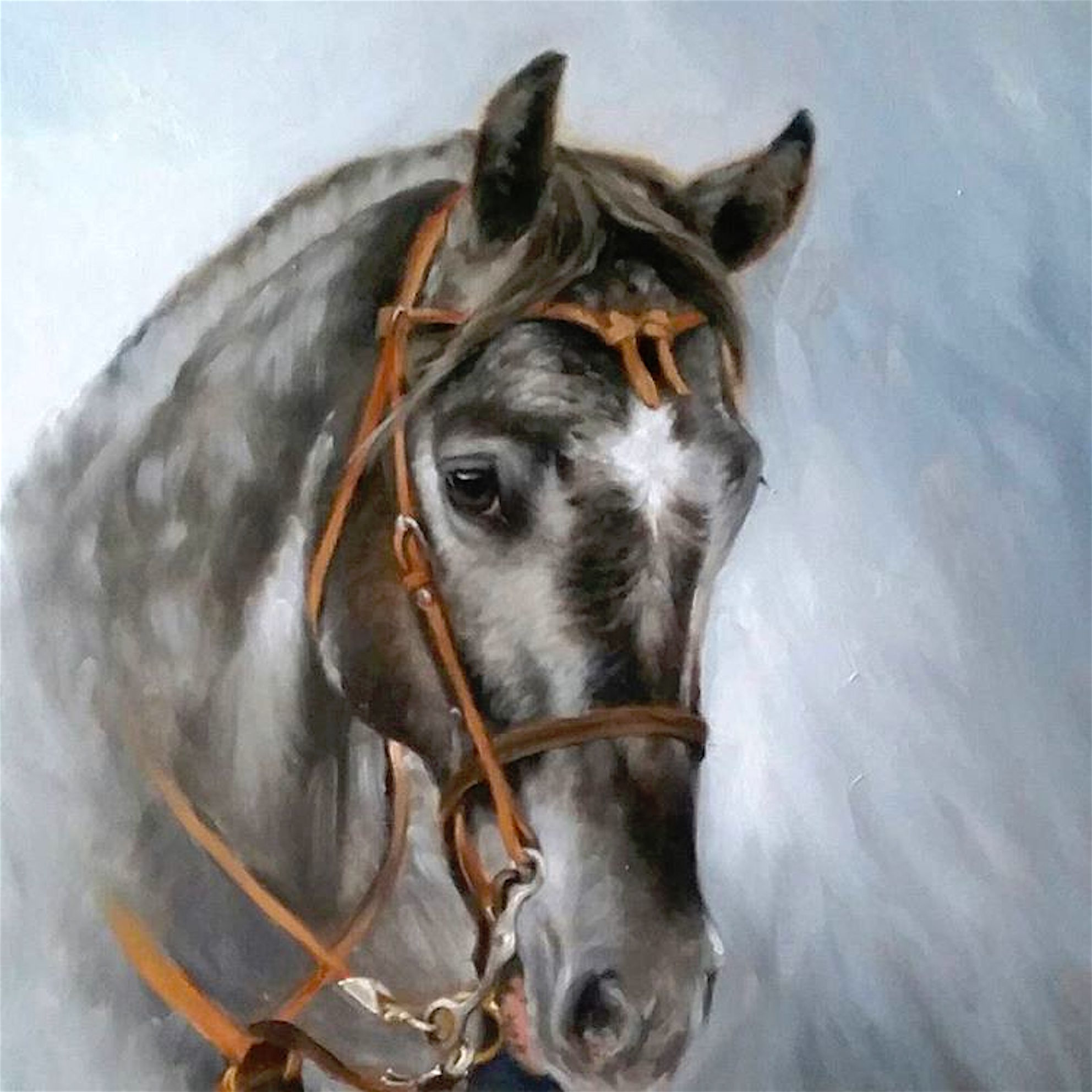 horse portraiture in oil on canvas