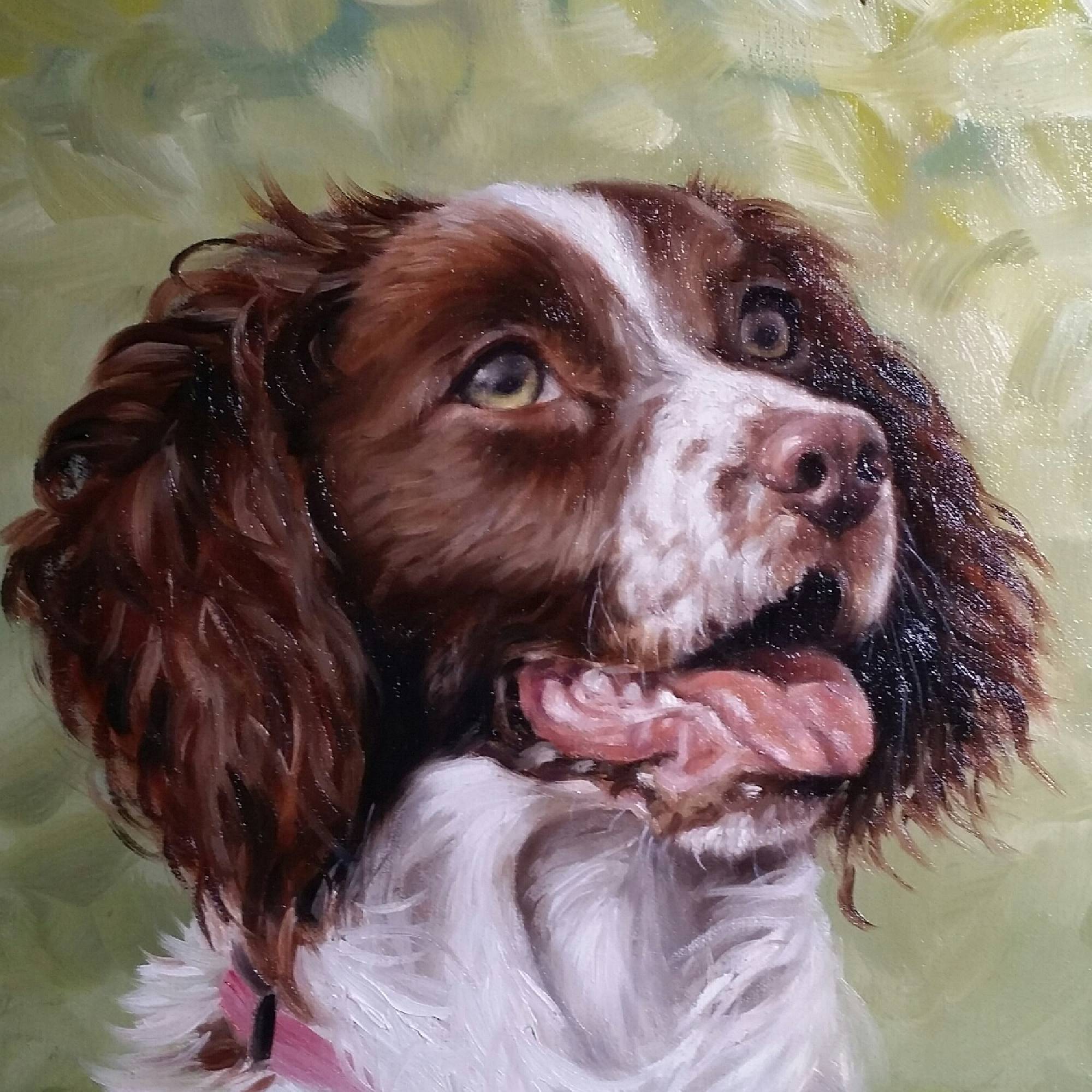 portrait of a spaniel by Stephen Edwards